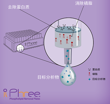 Strata®Impact™蛋白质沉淀盘
