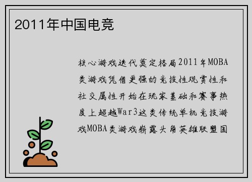 2011年中国电竞